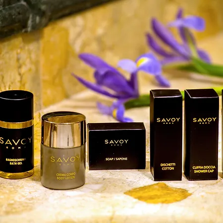 Savoy Hotel 4*