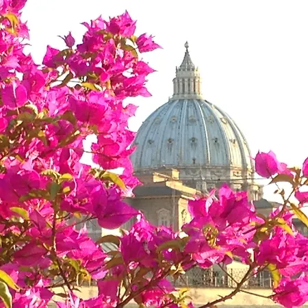 Dei Consoli Vaticano Hotel Roma