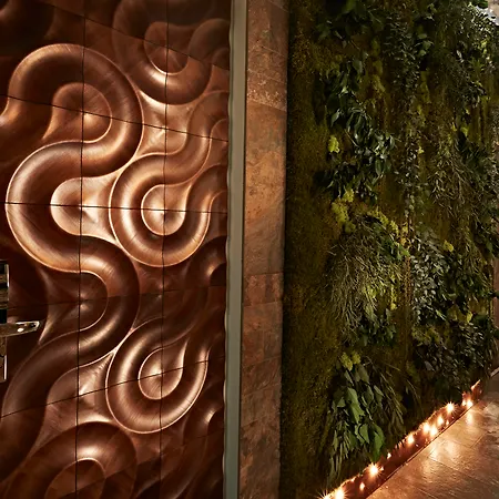 Le Reve De Naim Roma