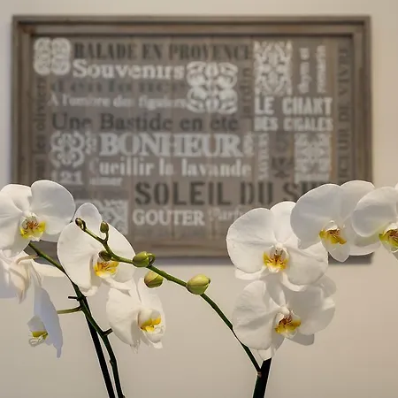 Romefinestay Mirabello Apartment