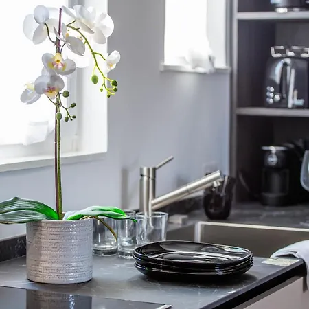 Apartment Luxury Floor In Trastevere *