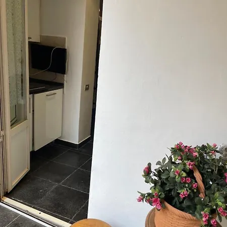 Elegant Apt-typical Palazzina Pz Alessandria