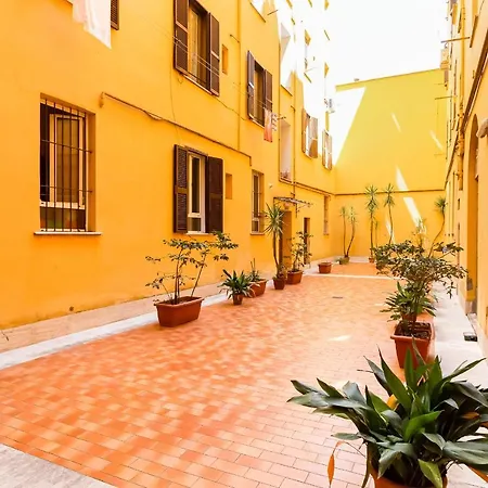 Regina Margherita Sweet Roma