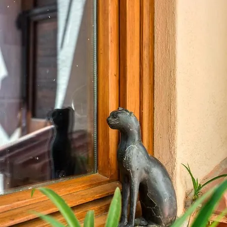 Maggiore 145 With Private Garden - Rione Monti Apartment *