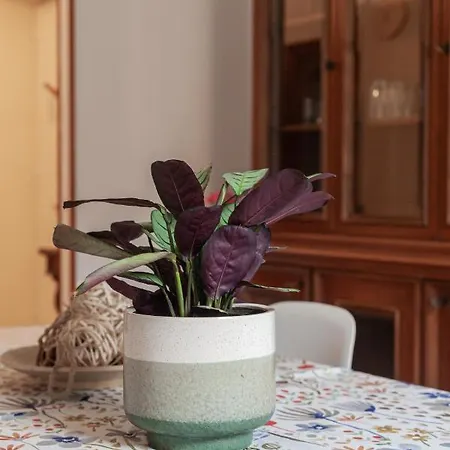 Il Melograno House Apartment Rome