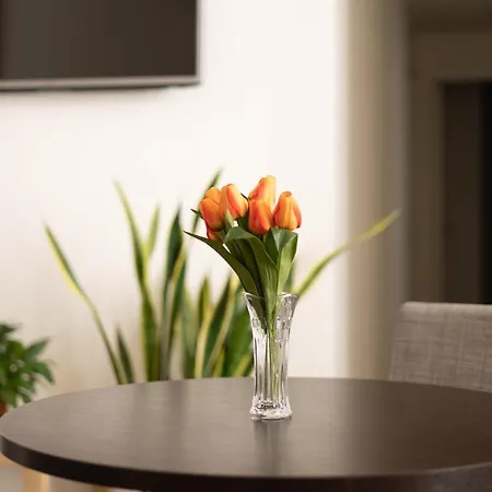 Maison Maneli 3* Rome