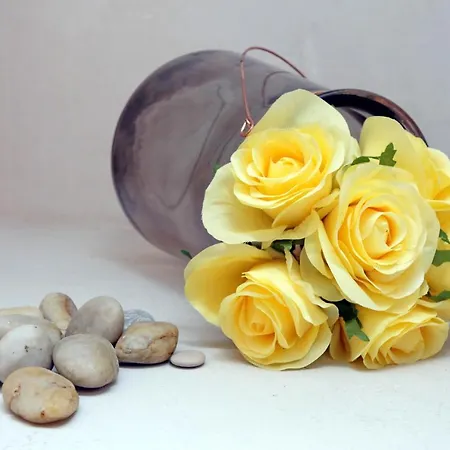 Apartamento Gallery *