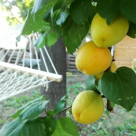 Pensión Ripe's Forest Garden Roma