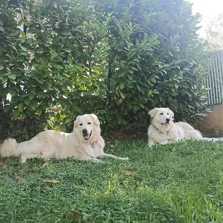 Lilly Σπίτι διακοπών