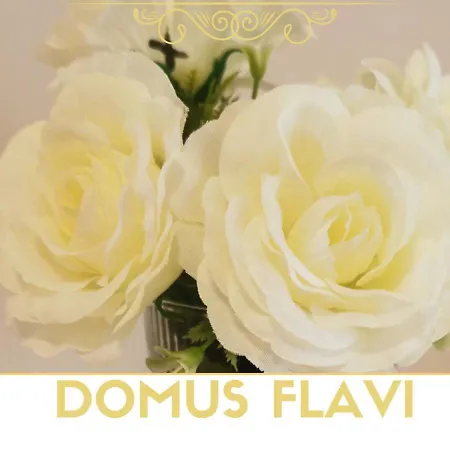 Domus Flavi Apartment