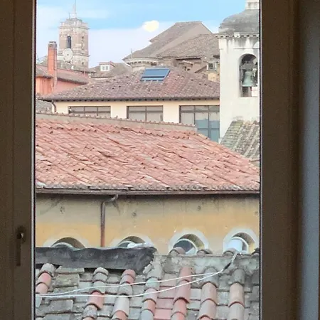 Cosy Reginella