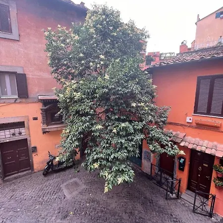 Domus Remi Appartamento *