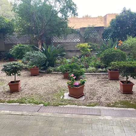 La Rosa Di One Big In San Giovanni Roma