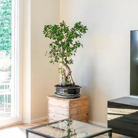 La Dolce - Sunny Penthouse Trastevere Station 100sqm Rome