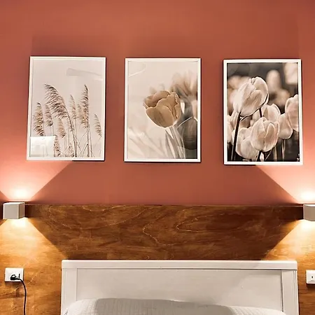 Nova Guest house Rome