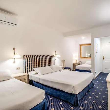 Hotel Napoleon 4*