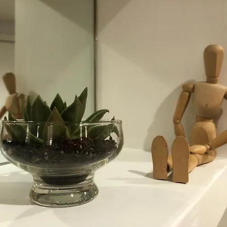 Appartamento Lungotevere Bed&bike Roma