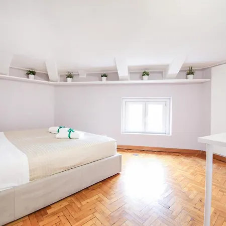 Penthouse In The Heart Of The Center Apartment