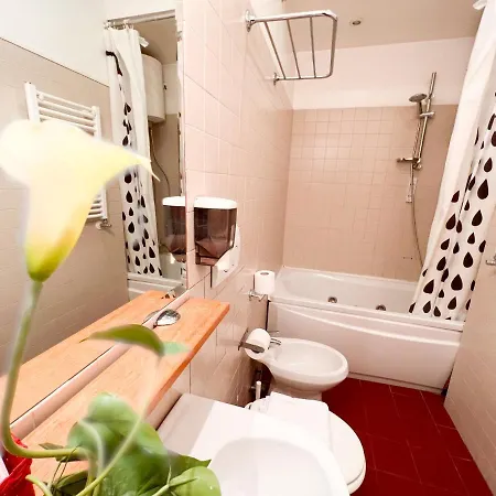Guest house House