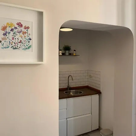 Apartment Cavour's