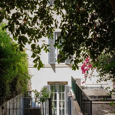 Tarshito Gallery House
