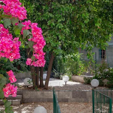 Gasthof Tarshito Gallery House *