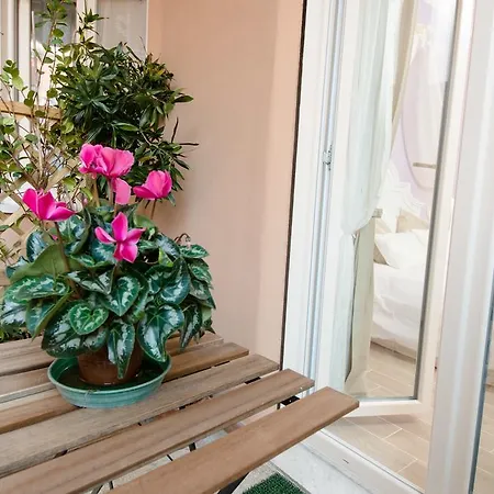 Buongiorno San Pietro B&B 로마