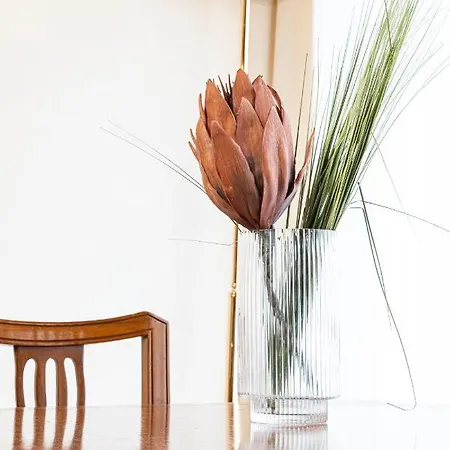 Apartment Quinto Piano *