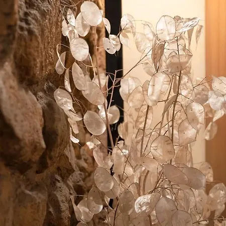 Antico Convento St. Peter Design Apartment *