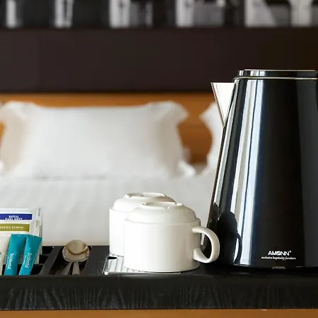 Hotel Occidental Aran Park 4*