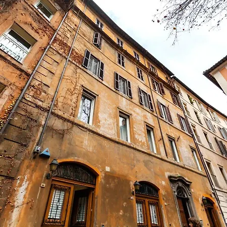 Navona Artist 7 *