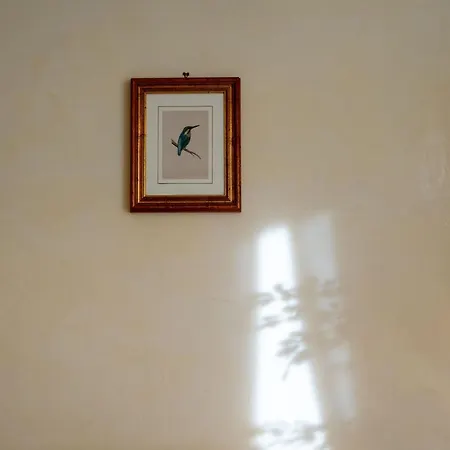Ampio Con Vinili In Centro Storico Apartment