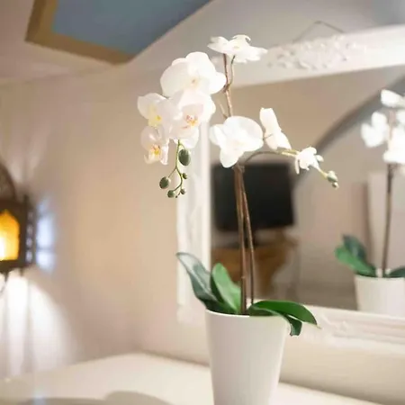Via Dei Cestari Loft Appartement