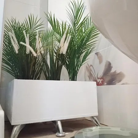 Bed and Breakfast Domus Pio Xi *