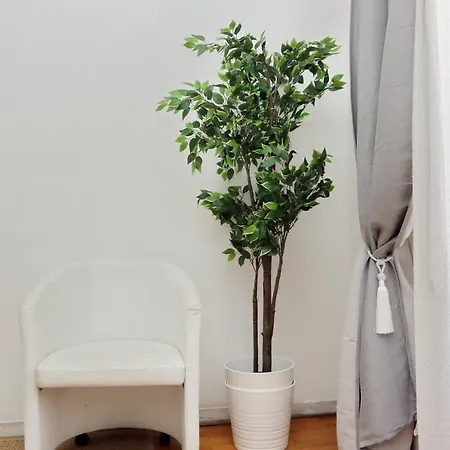 Cozy Domus -