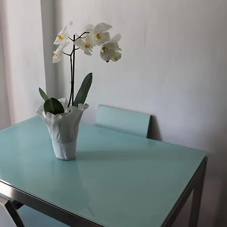 Le Terrazze Del Vaticano Bed & Breakfast Rome