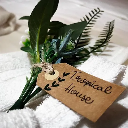 Tropical House60 Guest house Rome
