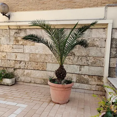 A Casa Di Francesca, Nuovo Bilocale Zona Balduina. アパート *