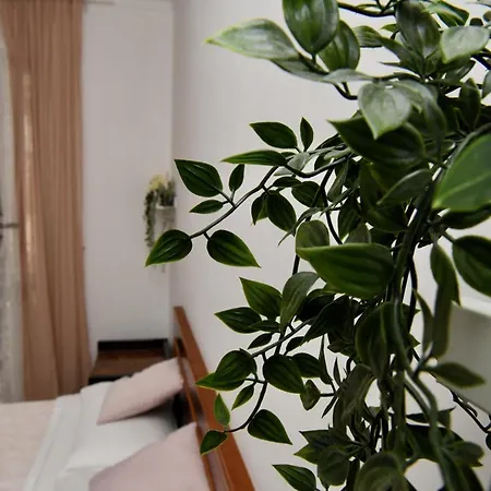 Anacapri Róma