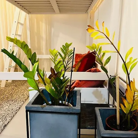 Sweet Life House Cavour Apartment
