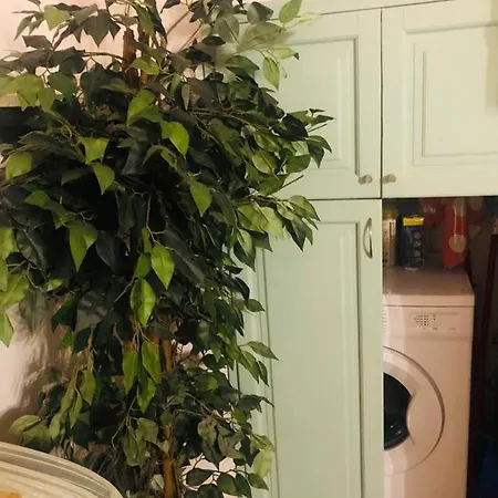 Charme Holidays Trastevere 3 Apartment *