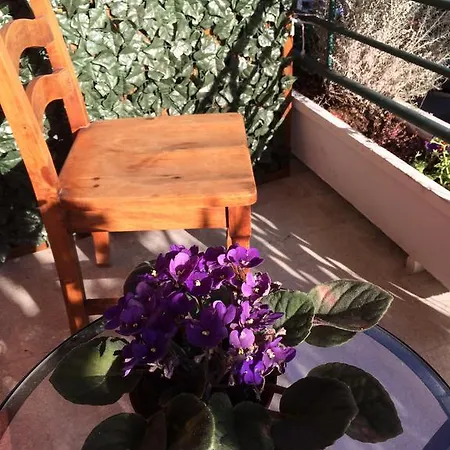 Bed & Breakfast Shelisa