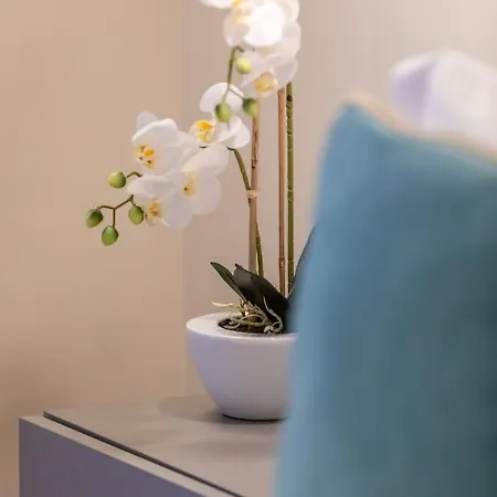 Elegantia Luxury * Roma