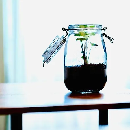 Plant House San Paolo Dom wakacyjny *