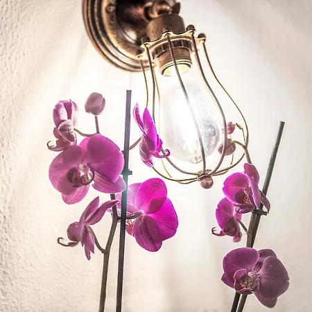 Apartmán Stranamore Trastevere