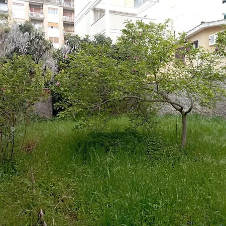 Проживание в семье Pigneto House *