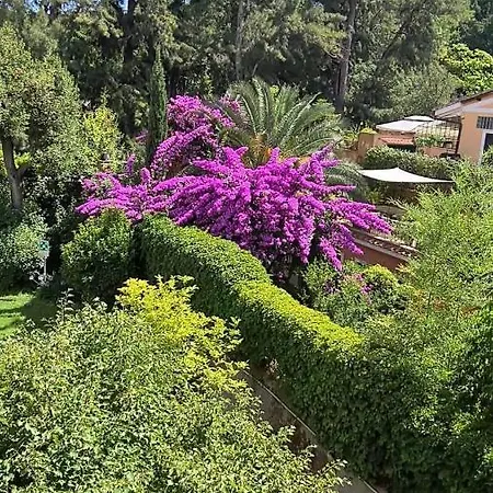فندق مبيت وإفطار Riari Garden روما