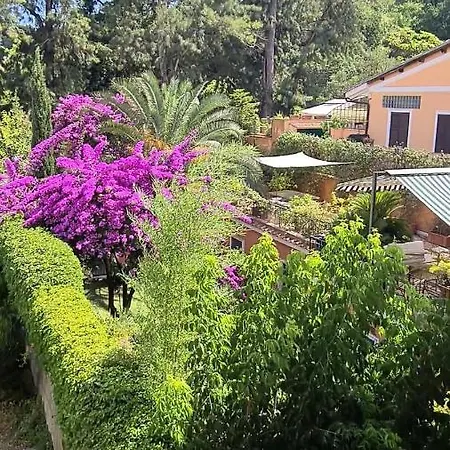 Riari Garden روما
