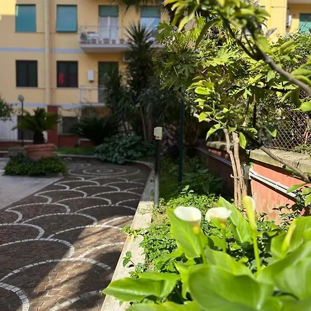 Apartament Life Is