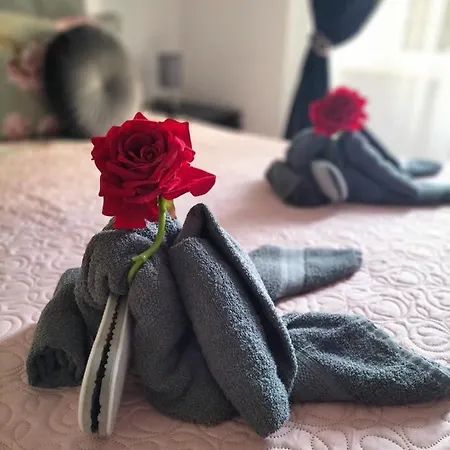 Appartamento Red Roses Domus